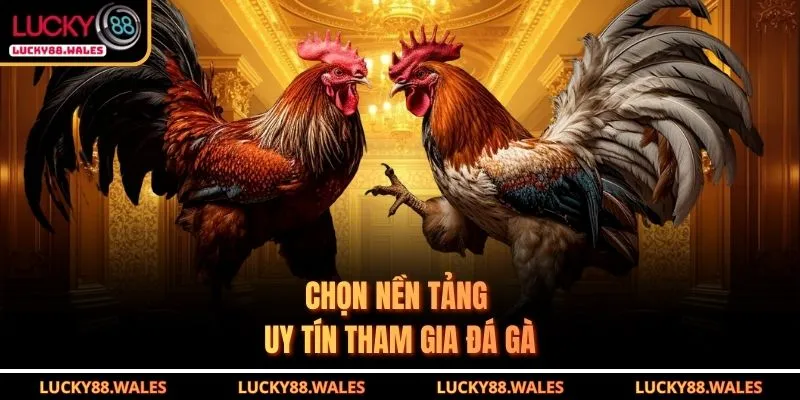 Đá gà LUCKY88